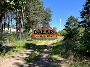 Zalesiona działka Nowe Racibory