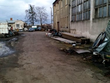 Lokal Prusice