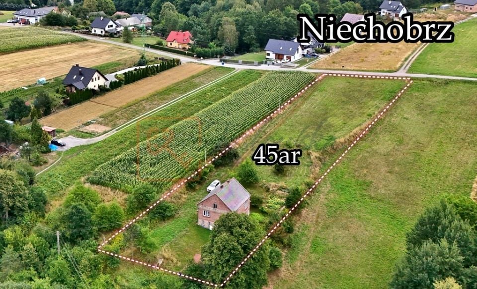 Działka budowlana Niechobrz