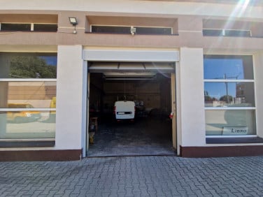 Lokal Kalisz