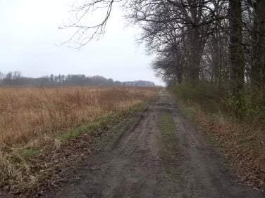 Działka inna Wilczyce