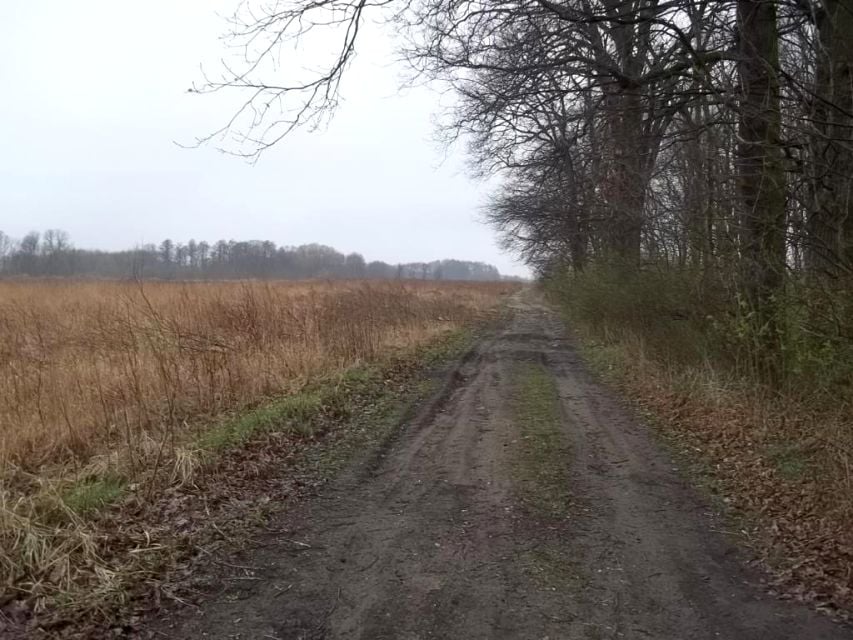 Działka inna Wilczyce