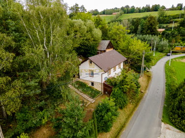 Dom Brzana