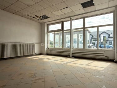 Lokal Międzyrzec Podlaski
