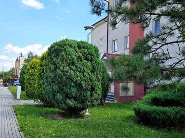 Mieszkanie Dąbrowa Tarnowska