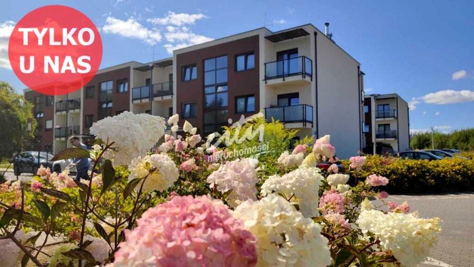 Apartament, ul. Korfantego