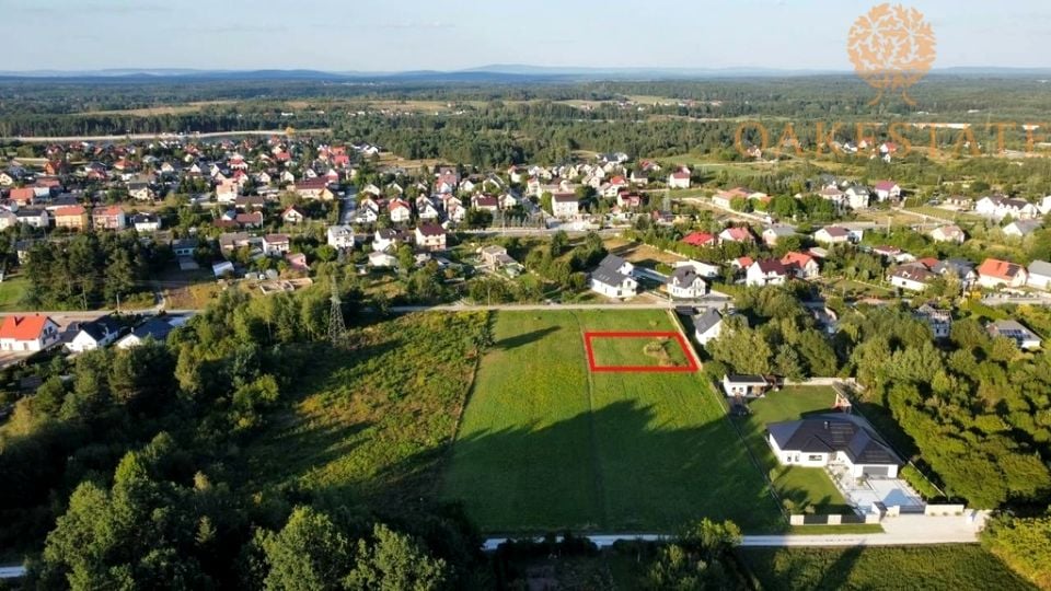 Zdjęcie 3