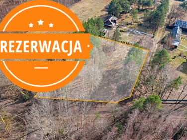 Działka przy lesie