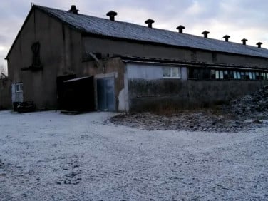 Lokal Kikół