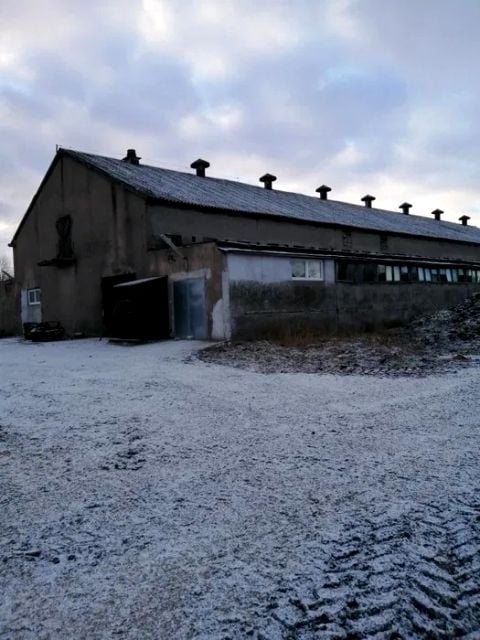 Lokal Kikół