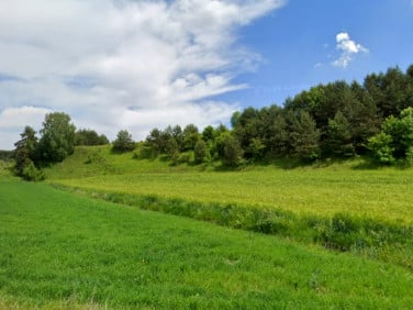 Działka budowlana Zawarża sprzedam