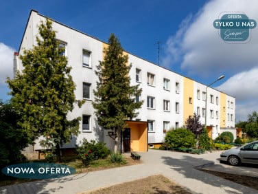 Mieszkanie Warta