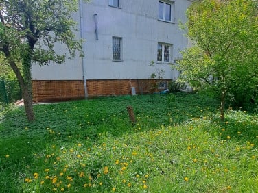 Dom Szczecin