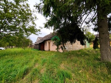 Dom Włodowice