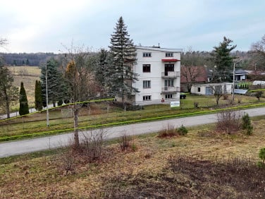 Mieszkanie przy lesie