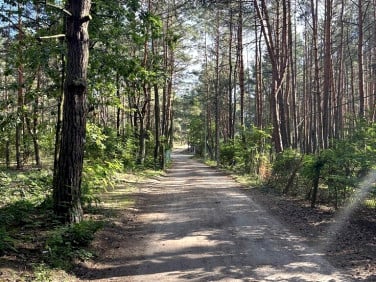 Działka Łosie