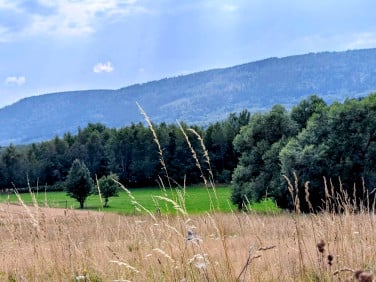 Działka budowlana Wyszki