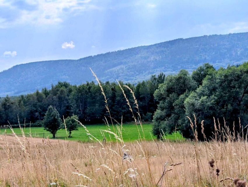 Działka budowlana Wyszki