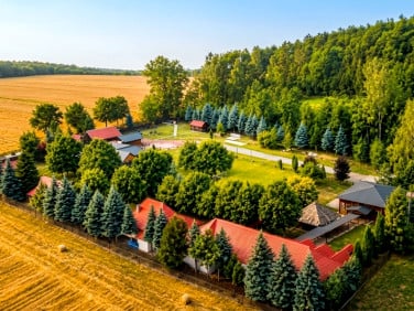 Działka Kąkolewnica