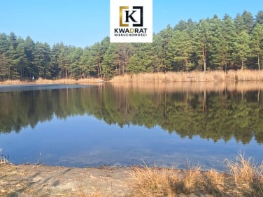 Działka Borówek