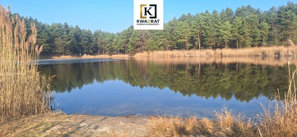 Działka Borówek