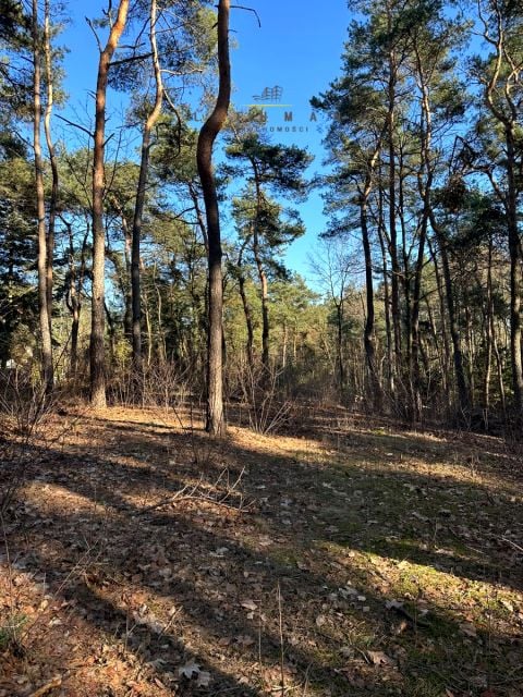 Działka budowlana Grotniki sprzedam