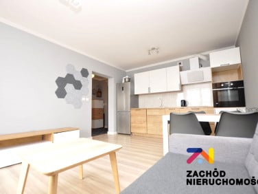 Mieszkanie apartamentowiec wynajem