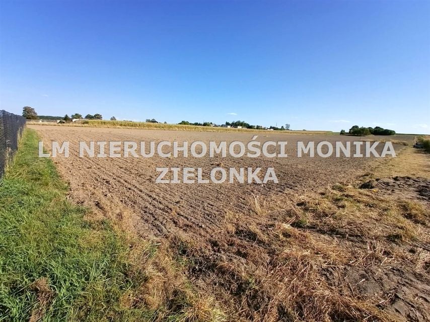 Zdjęcie 2