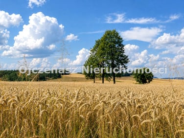Działka inwestycyjna Sienno