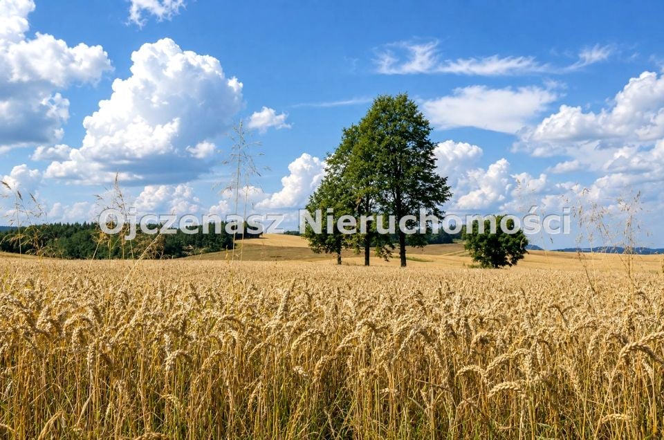 Działka inwestycyjna Sienno