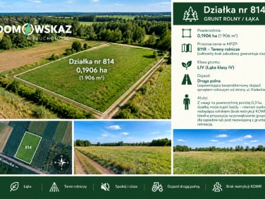 Działka leśna Jaworznik