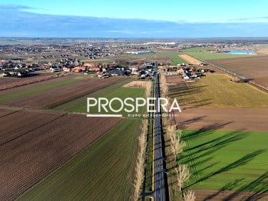 Działka Dąbrowa