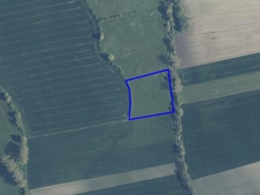 Działka rolna Nieborowo
