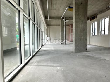 Lokal Lublin wynajem