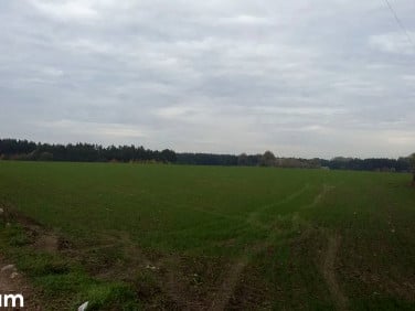 Działka Pobiedziska
