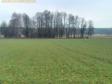 Działka budowlana Grębków