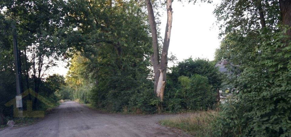Zdjęcie 2