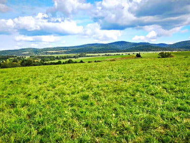 Działka rolna Smolnik