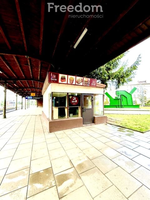 Lokal Opole