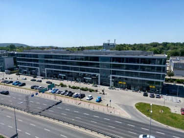 Lokal Kraków