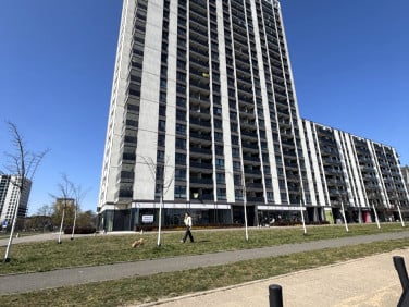 Lokal Warszawa