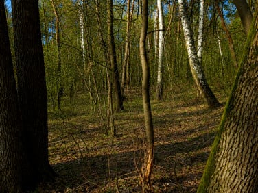 Działka inna Warszawa sprzedam
