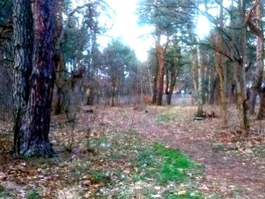 Działka budowlana Warszawa sprzedam