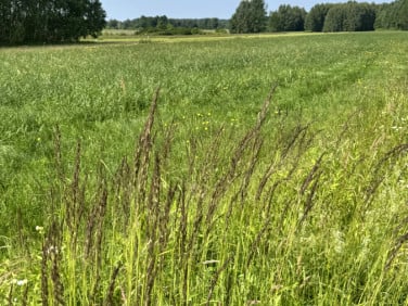 Działka Grabina