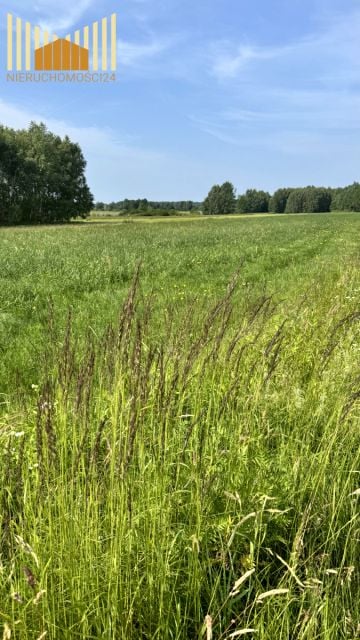 Działka budowlana Grabina