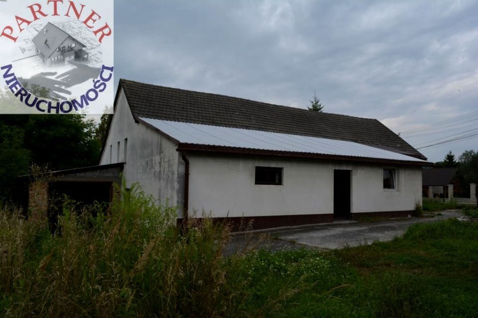 Zdjęcie 2