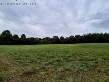Działka Gołuchowice