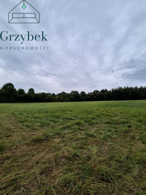 Działka Gołuchowice