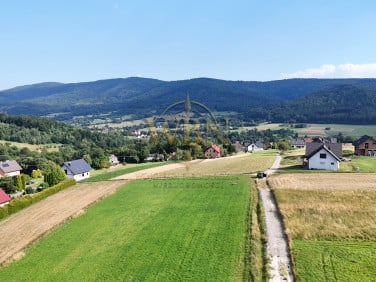 Działka budowlana Trzebunia