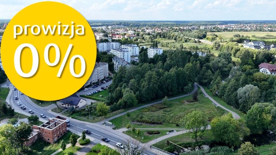 Zdjęcie 3